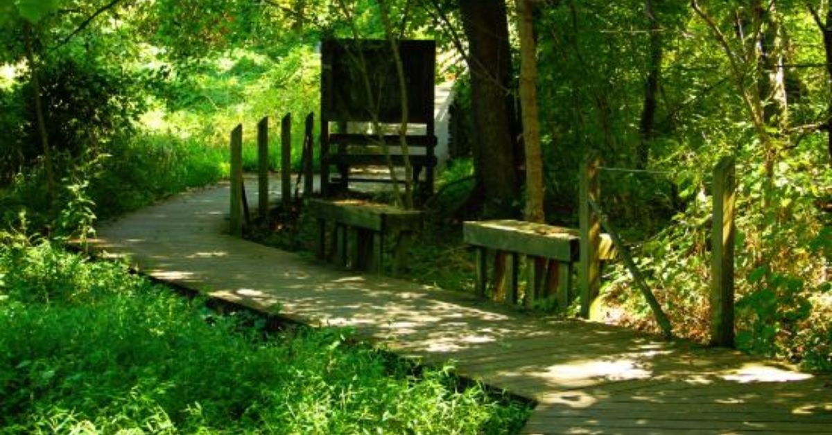 Beaver Lake Bird Sanctuary