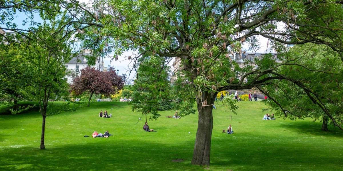 Park Educational Sustainability How Parks Can Teach and Support Greener Communities