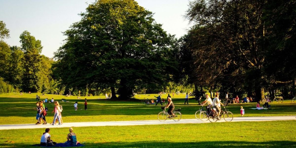 Park Green Grants Asheville Why Park Rules Matter for Safe and Sustainable Spaces