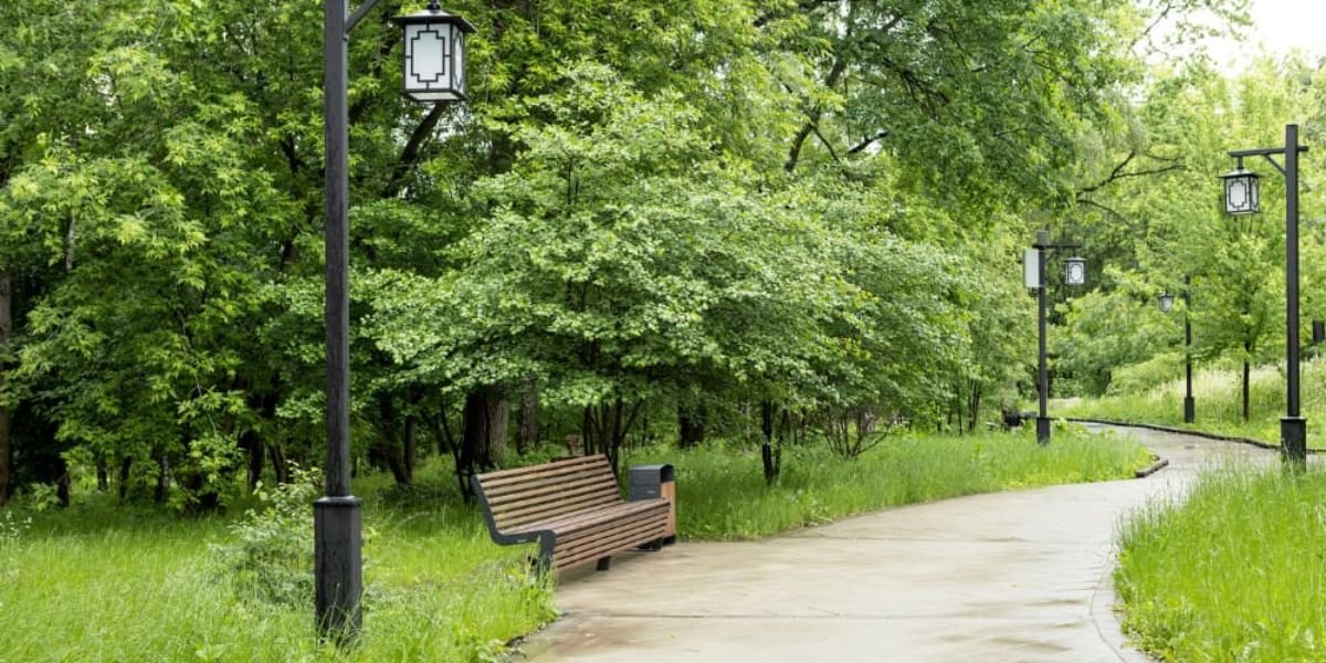 Park Sustainable Lighting How Smart Lighting Improves Safety and Supports Green Goals