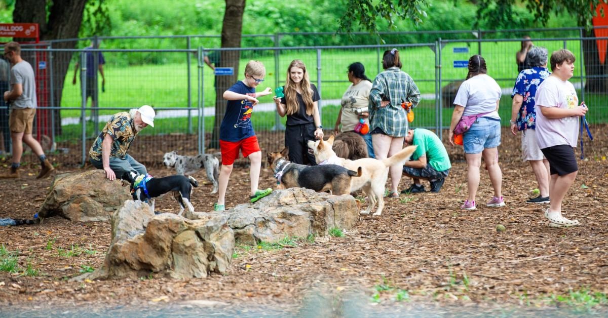 Pop-Up Dog Park