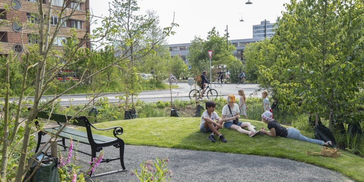 Volunteer Park Restoration A Sustainable Approach to Preserving Green Public Spaces