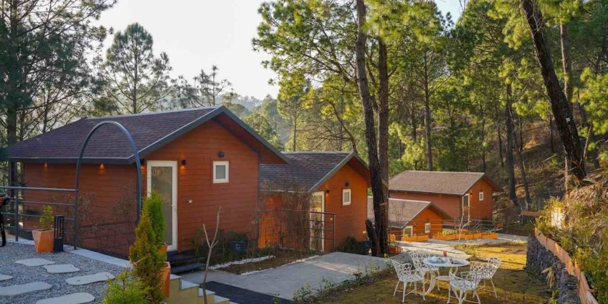 White Pine Park A Timeless Forest Getaway Inspiring Urban Green Spaces