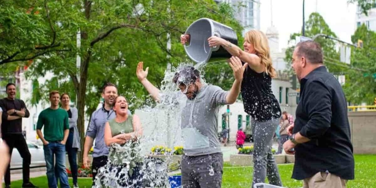 How to Apply for Park Events Step-by-Step Guide