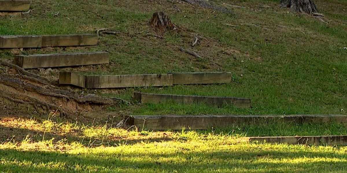 Jones Park Rebuild Update When Will the New Track Open